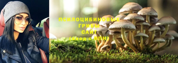 хмурый Армянск